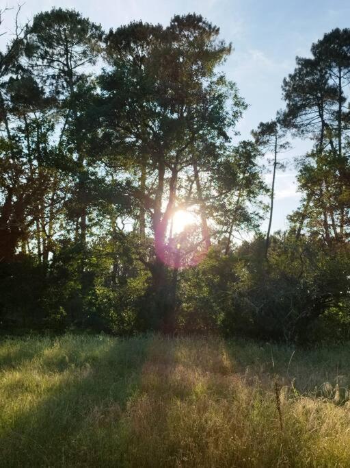 Villa Bienvenue En Sud Gironde Villandraut Esterno foto